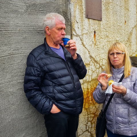 hrisey_2018_saevar-14