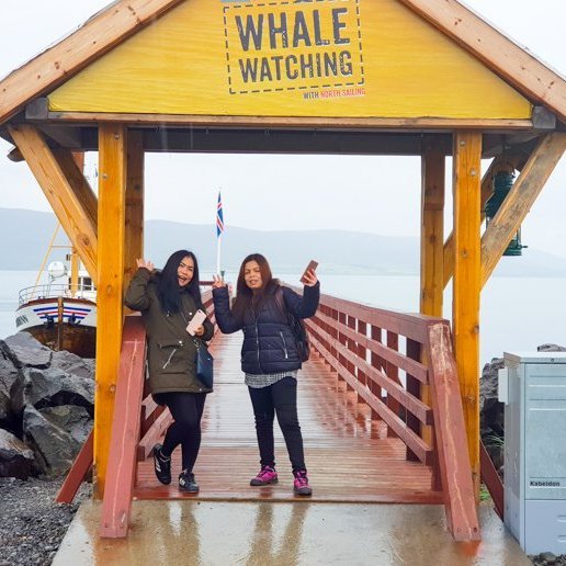 hrisey_2018_saevar-21