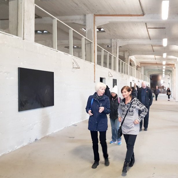 hrisey_2018_saevar-4