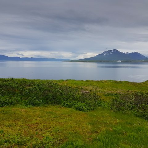 hrisey_2018_saevar-67