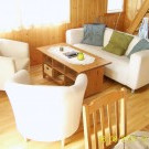 Bústaður / sumarútleiga 2009