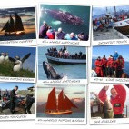 Kvöldsigling í Flatey