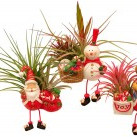 Litlu jólin 2010 ... nánar