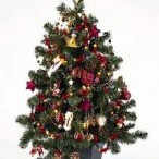 Jólatrésskemmtun STÚA 2013