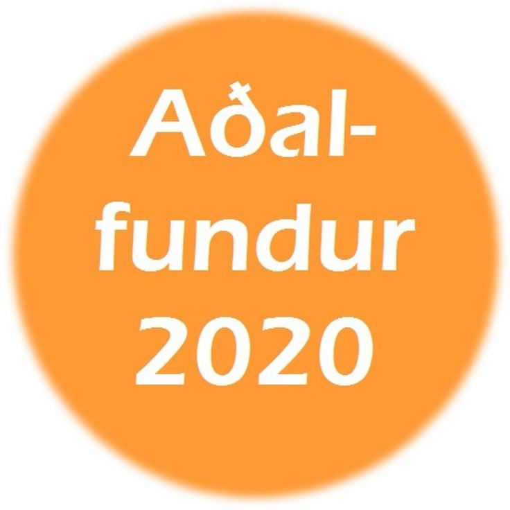 Aðalfundur 2020